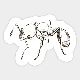 Ants Sticker